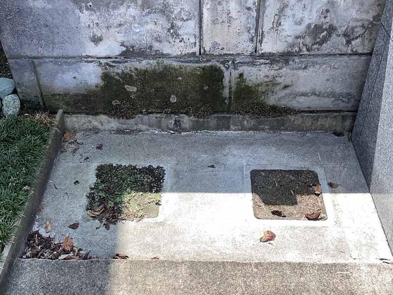 松江 東善寺墓苑